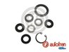 Set reparatie pompa centrala frana AUTOFREN SEINSA D1416