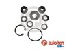 SET REPARATIE POMPA CENTRALA FRANA AUTOFREN SEINSA D1446 - Compatibil cu OPEL, SAAB