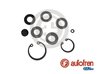 Set reparatie pompa centrala frana AUTOFREN SEINSA D1457