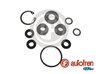 Set reparatie pompa centrala frana AUTOFREN SEINSA D1547