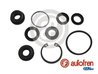 SET REPARATIE POMPA CENTRALA FRANA AUTOFREN SEINSA D1556 - Compatibil cu AUDI, SEAT, SKODA, VW