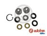 SET REPARATIE POMPA CENTRALA FRANA AUTOFREN SEINSA D1602 - Compatibil cu TOYOTA