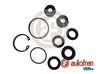 Set reparatie pompa centrala frana AUTOFREN SEINSA D1648