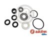 Set reparatie pompa centrala frana AUTOFREN SEINSA D1717