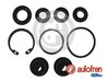 Set reparatie pompa centrala frana AUTOFREN SEINSA D1771