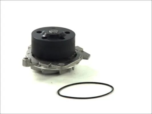 Pompa de apa Thermotec D1D019TT