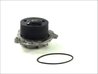 Pompa de apa Thermotec D1D019TT