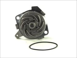 Pompa de apa Thermotec D1D019TT