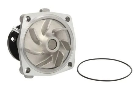 Pompa de apa Thermotec D1G042TT