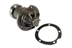 Pompa de apa Thermotec D1M006TT