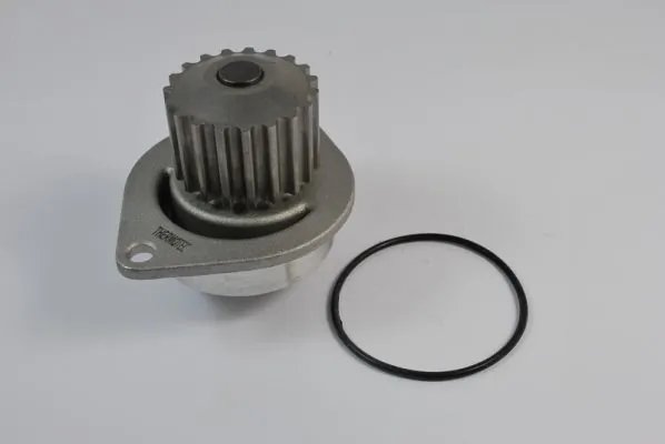 Pompa de apa Thermotec D1P010TT