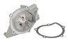 Pompa de apa Thermotec D1P039TT