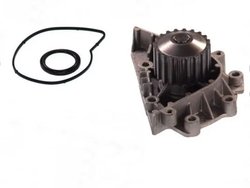 Pompa de apa Thermotec D1P042TT
