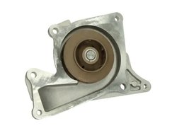 Pompa de apa Thermotec D1R043TT