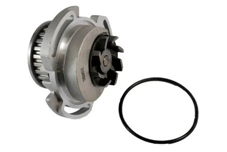 Pompa de apa Thermotec D1W003TT