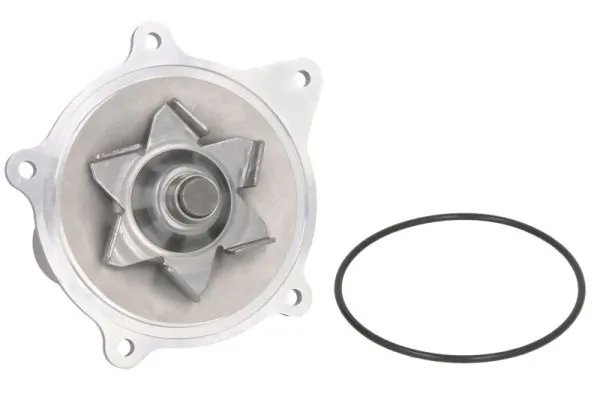 Pompa de apa Thermotec D1Y004TT