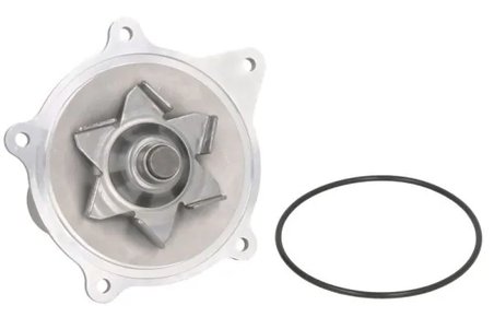 Pompa de apa Thermotec D1Y004TT