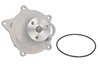 Pompa de apa Thermotec D1Y004TT
