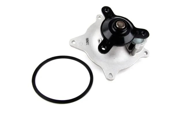 Pompa de apa Thermotec D1Y006TT