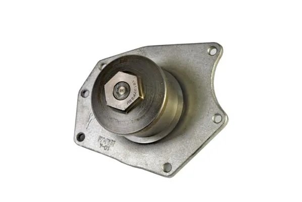 Pompa de apa Thermotec D1Y015TT