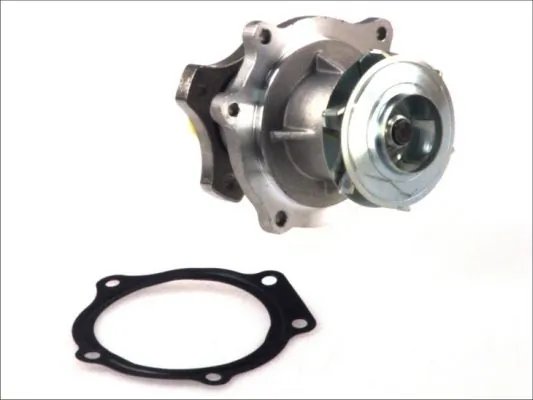 Pompa de apa Thermotec D1Y033TT