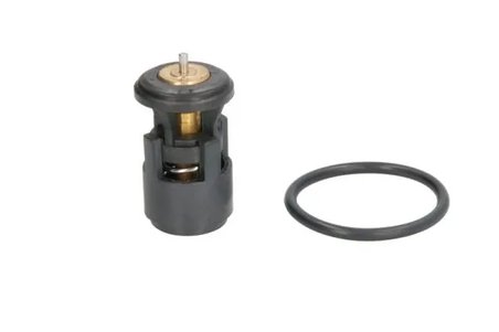 Termostat lichid racire Thermotec D2A005TT