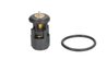 Termostat lichid racire Thermotec D2A005TT
