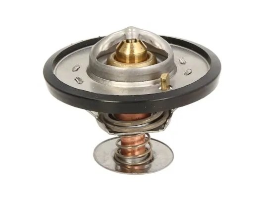 Termostat lichid racire Thermotec D2CA001TT
