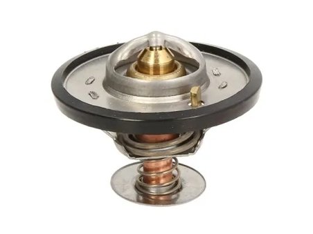 Termostat lichid racire Thermotec D2CA001TT