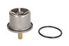 Termostat lichid racire Thermotec D2DA006TT