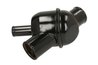 Termostat lichid racire Thermotec D2FE007TT