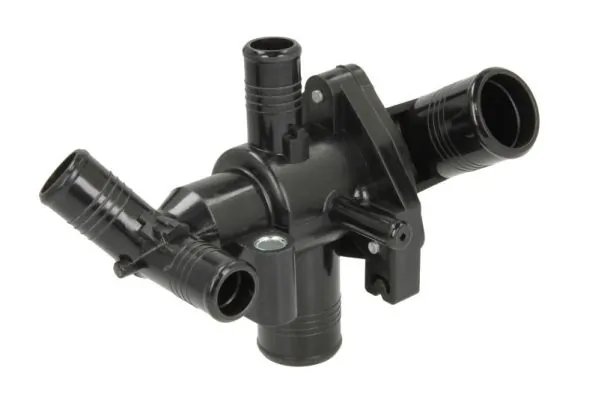 Termostat lichid racire Thermotec D2G012TT