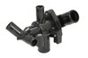 Termostat lichid racire Thermotec D2G012TT
