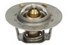 Termostat lichid racire Thermotec D2IS001TT