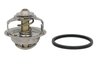 Termostat lichid racire Thermotec D2IV003TT