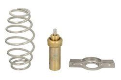Termostat lichid racire Thermotec D2IV008TT