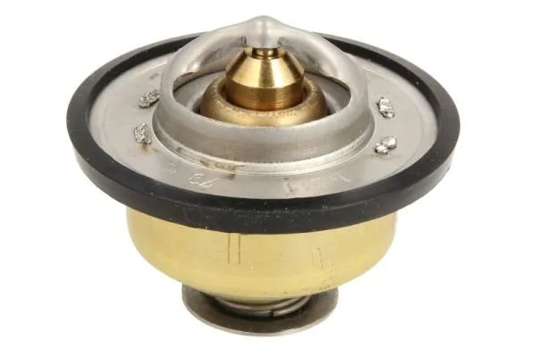 Termostat lichid racire Thermotec D2JD010TT