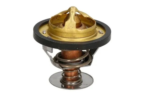 Termostat lichid racire Thermotec D2PE006TT