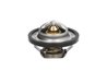 TERMOSTAT LICHID RACIRE THERMOTEC D2R001TT - Compatibil cu CITROEN, DACIA, DAF, NISSAN, OPEL, RENAULT