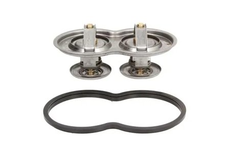 Termostat lichid racire Thermotec D2SC001TT
