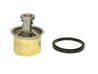 Termostat lichid racire Thermotec D2VO004TT