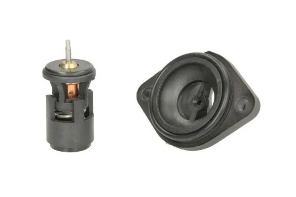 Termostat lichid racire Thermotec D2W004TT