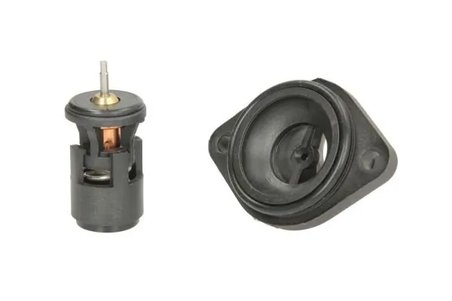Termostat lichid racire Thermotec D2W004TT