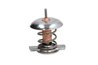 Termostat lichid racire Thermotec D2X005TT