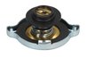 Buson radiator Thermotec D30009TT
