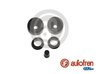 Set reparatie cilindru receptor frana AUTOFREN SEINSA D3101