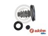 Set reparatie cilindru receptor ambreiaj AUTOFREN SEINSA D31