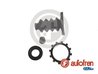 Set reparatie cilindru receptor ambreiaj AUTOFREN SEINSA D31