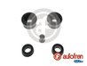Set reparatie cilindru receptor frana AUTOFREN SEINSA D3386