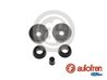 Set reparatie cilindru receptor frana AUTOFREN SEINSA D3645
